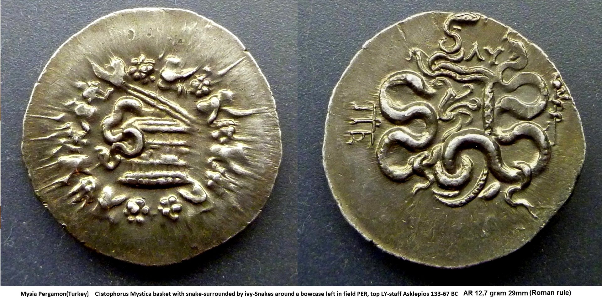 P1140892bcnm.jpg