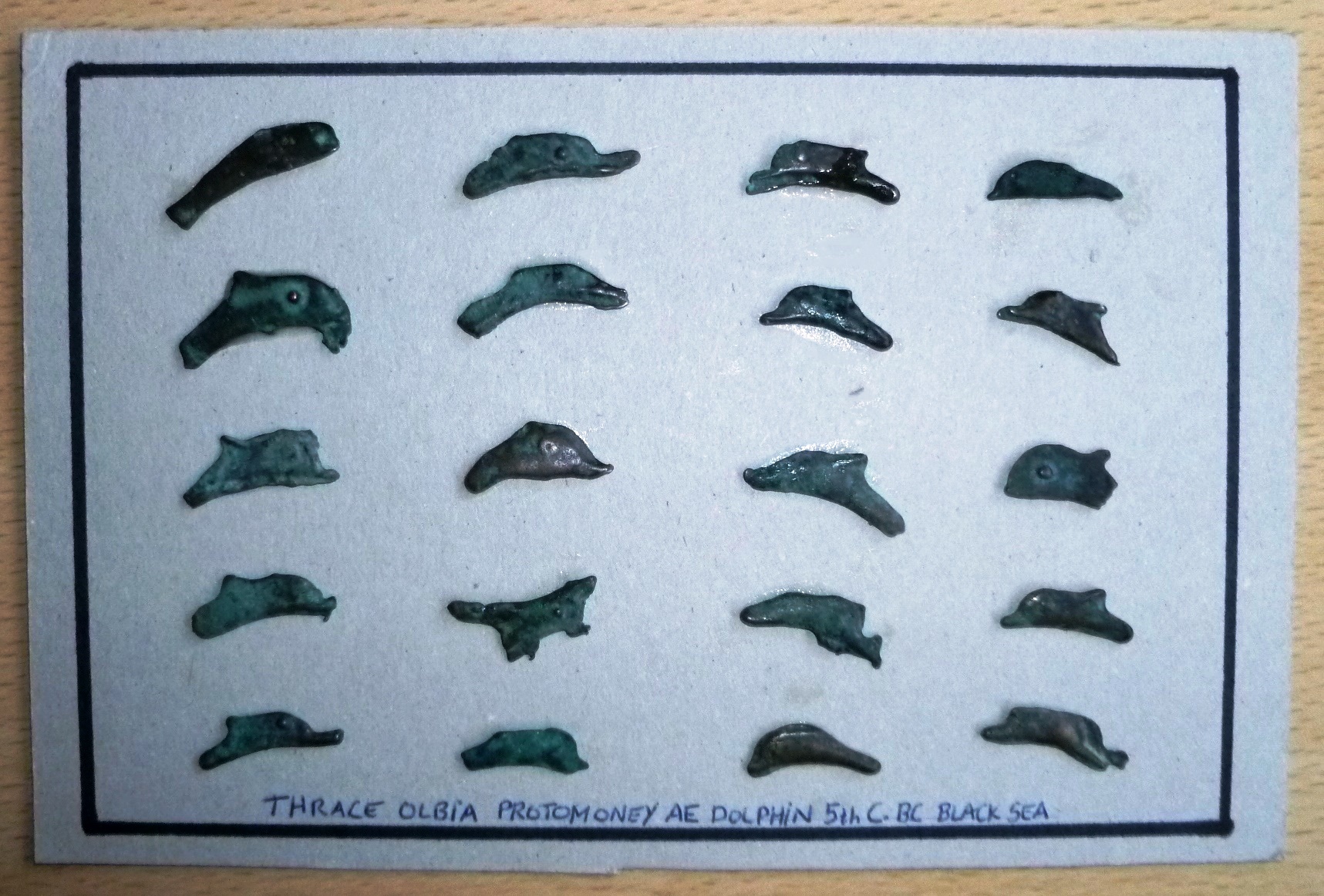 P1150021.JPG