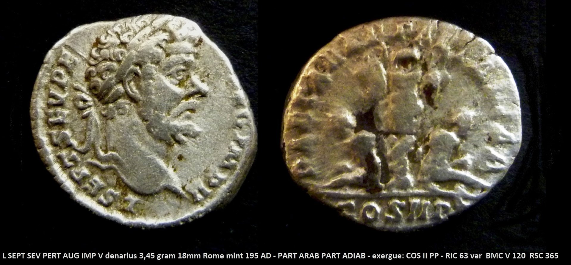 P1150191vvv.jpg