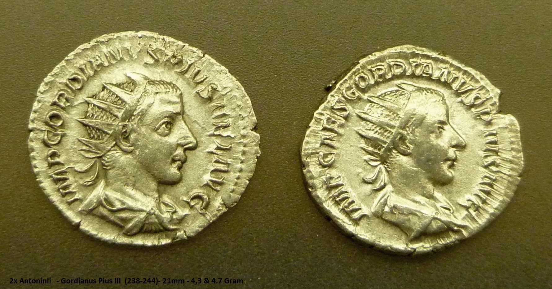 P1150238.JPG