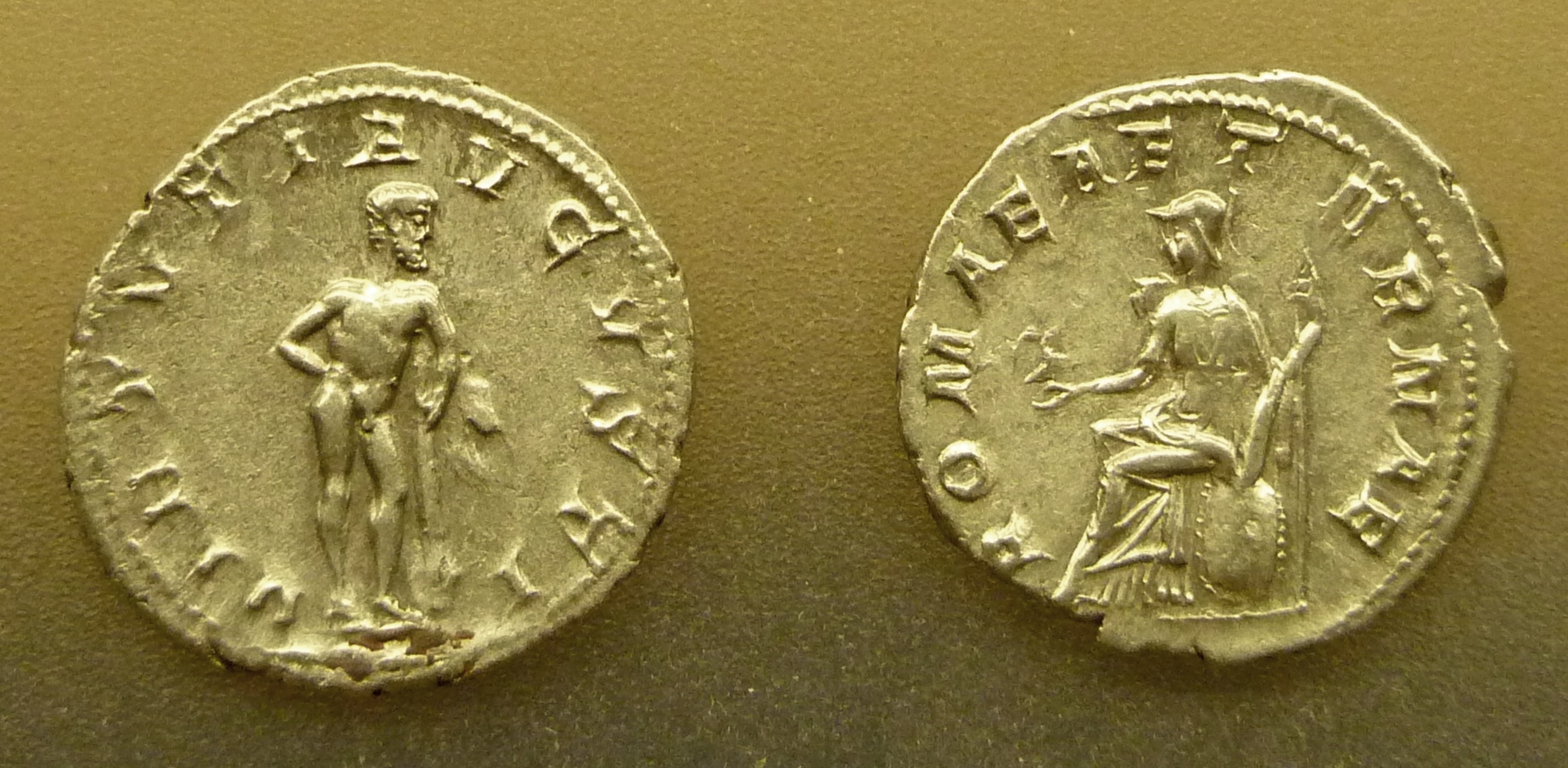 P1150244.JPG