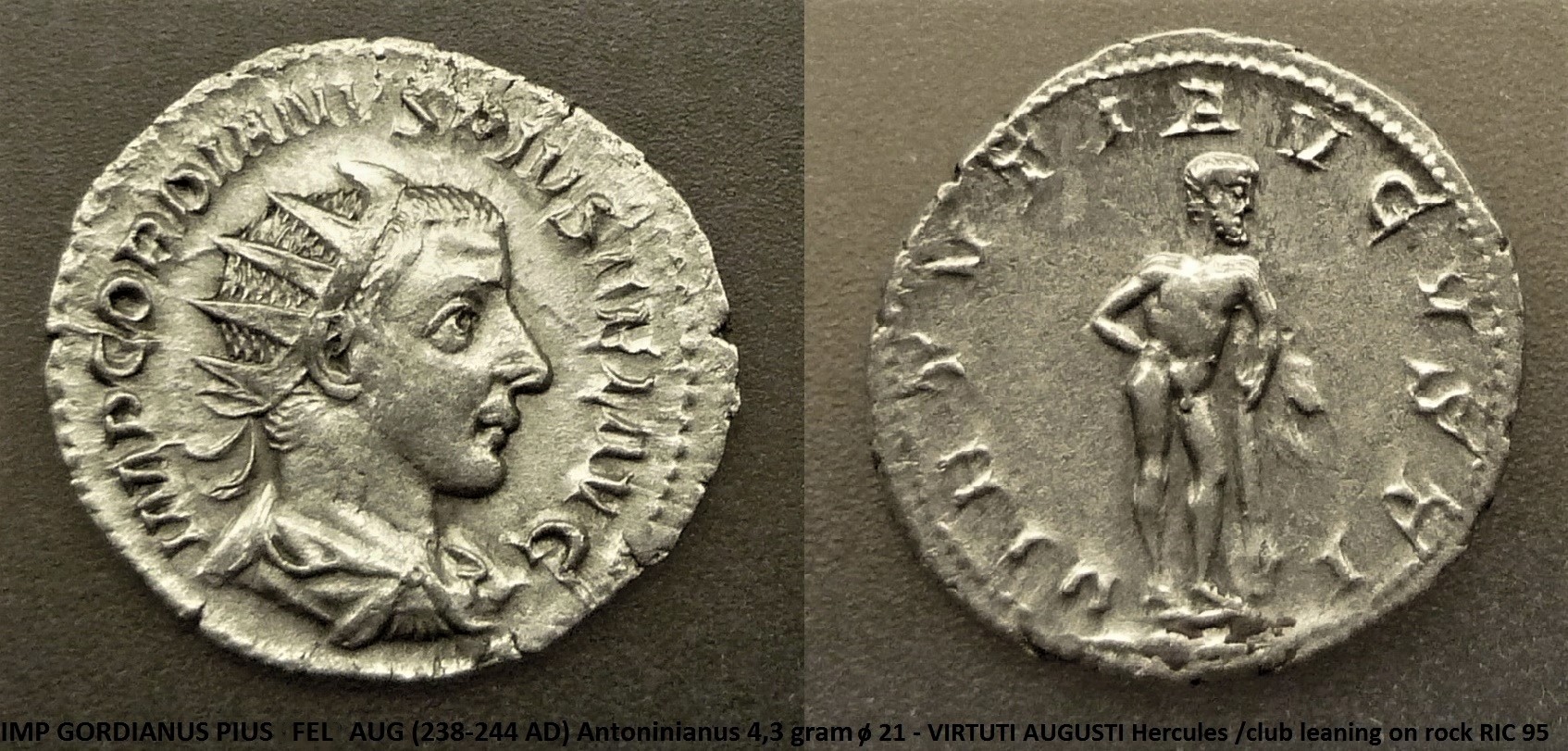 P1150244b.jpg
