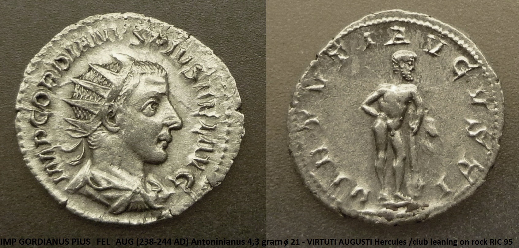 P1150244b.jpg