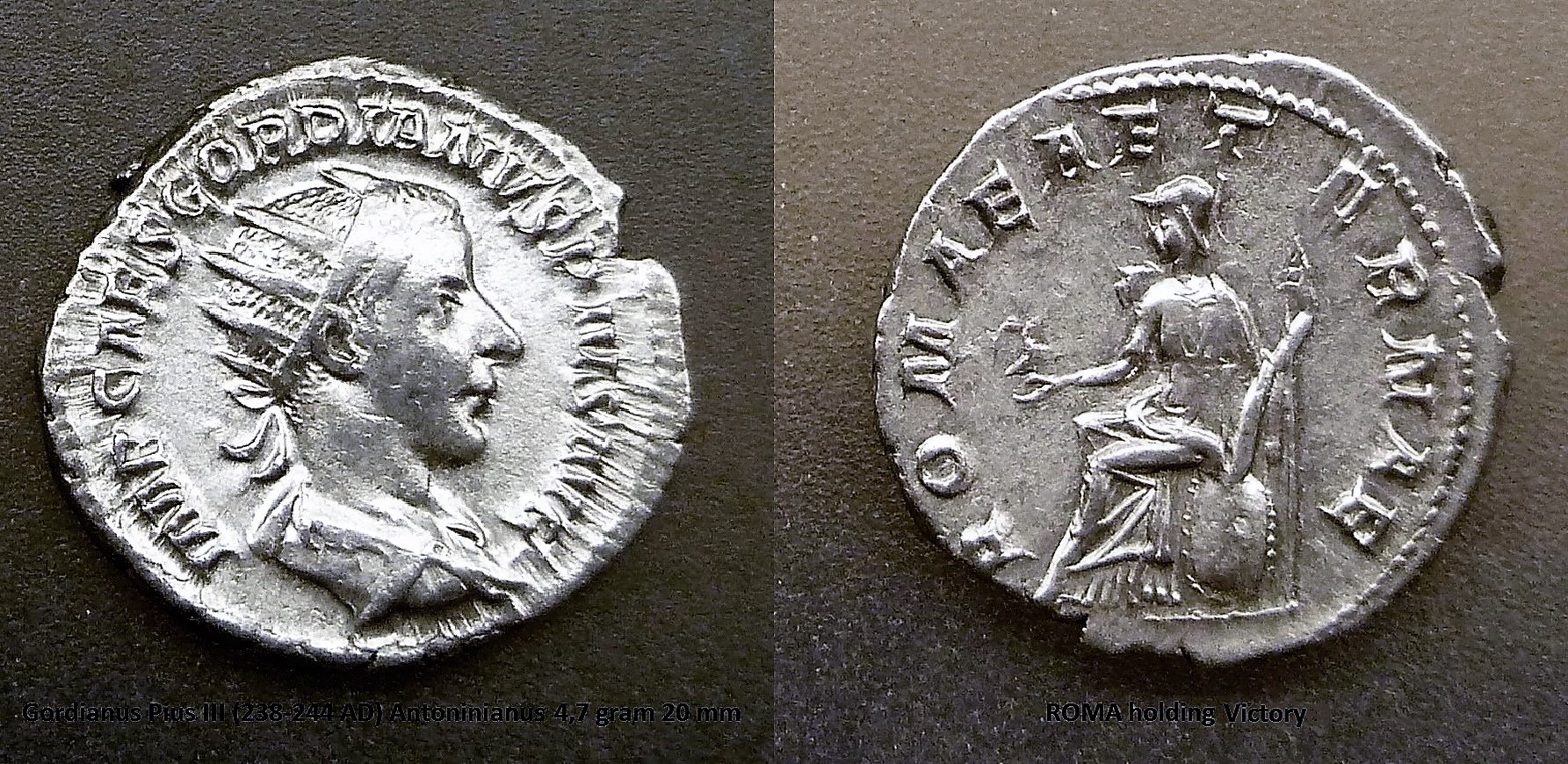 P1150244roma.jpg