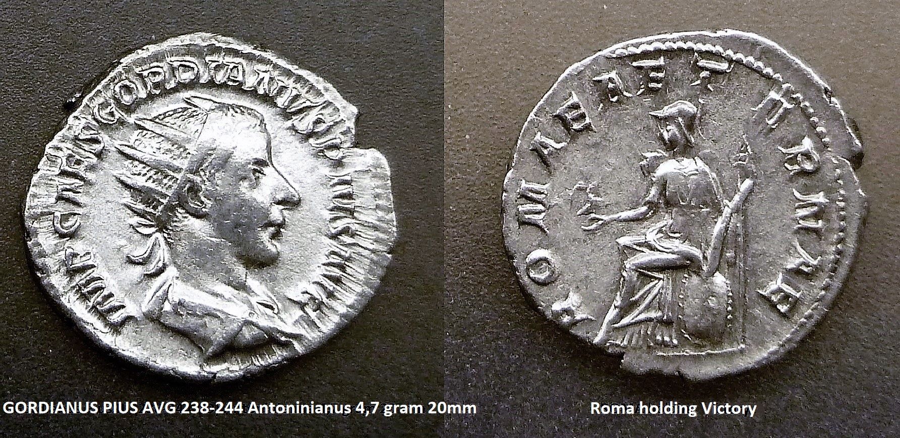 P1150244roma.jpg