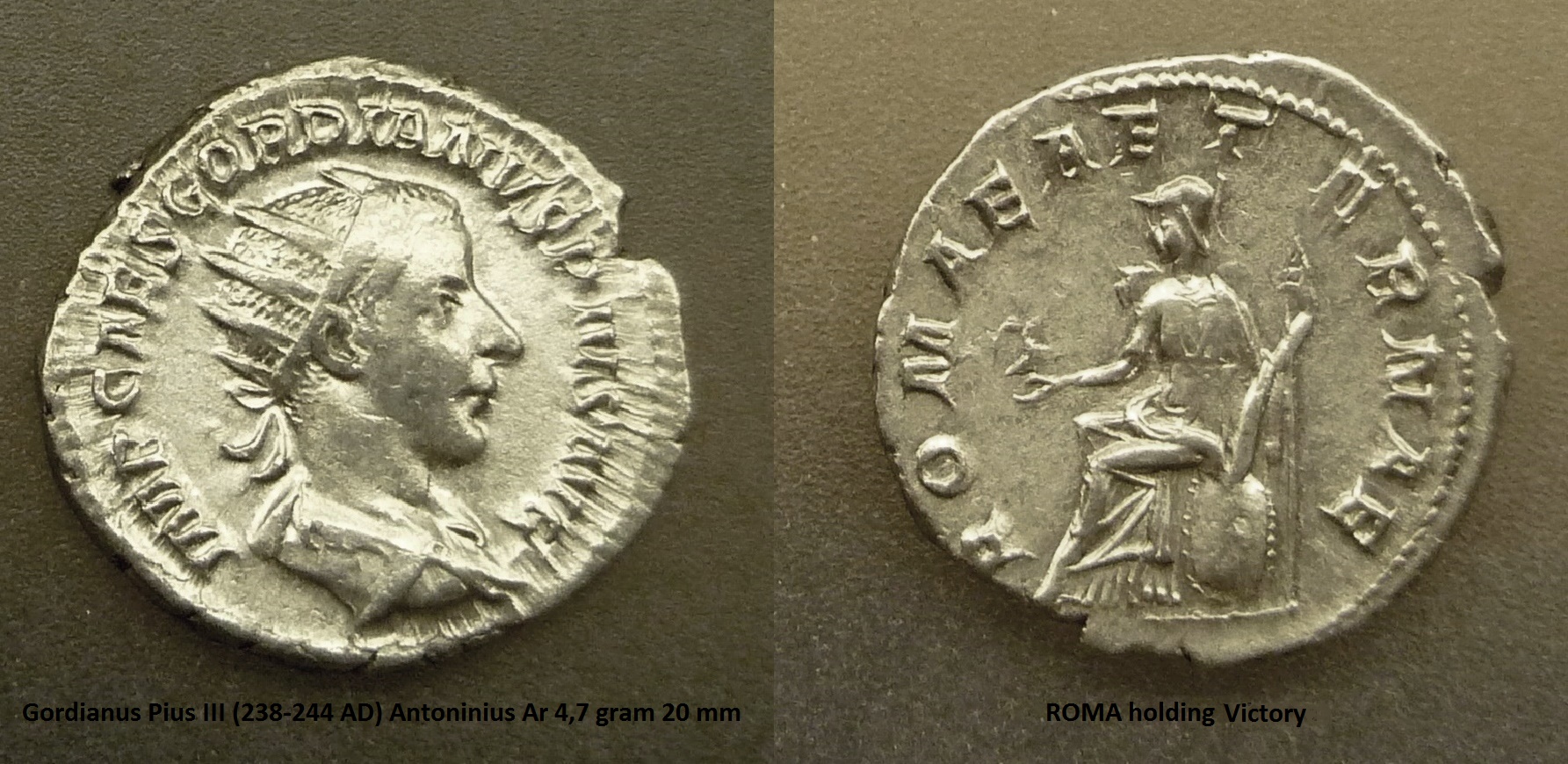 P1150244roma.jpg