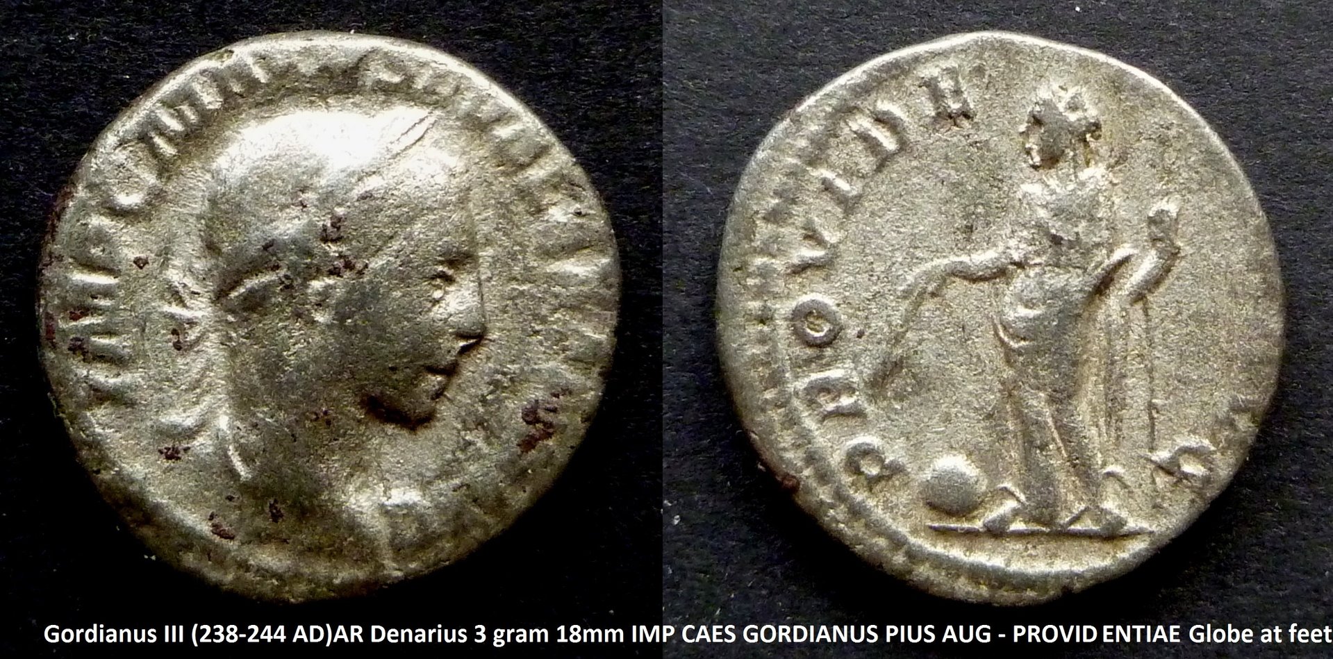 P1150245v.jpg
