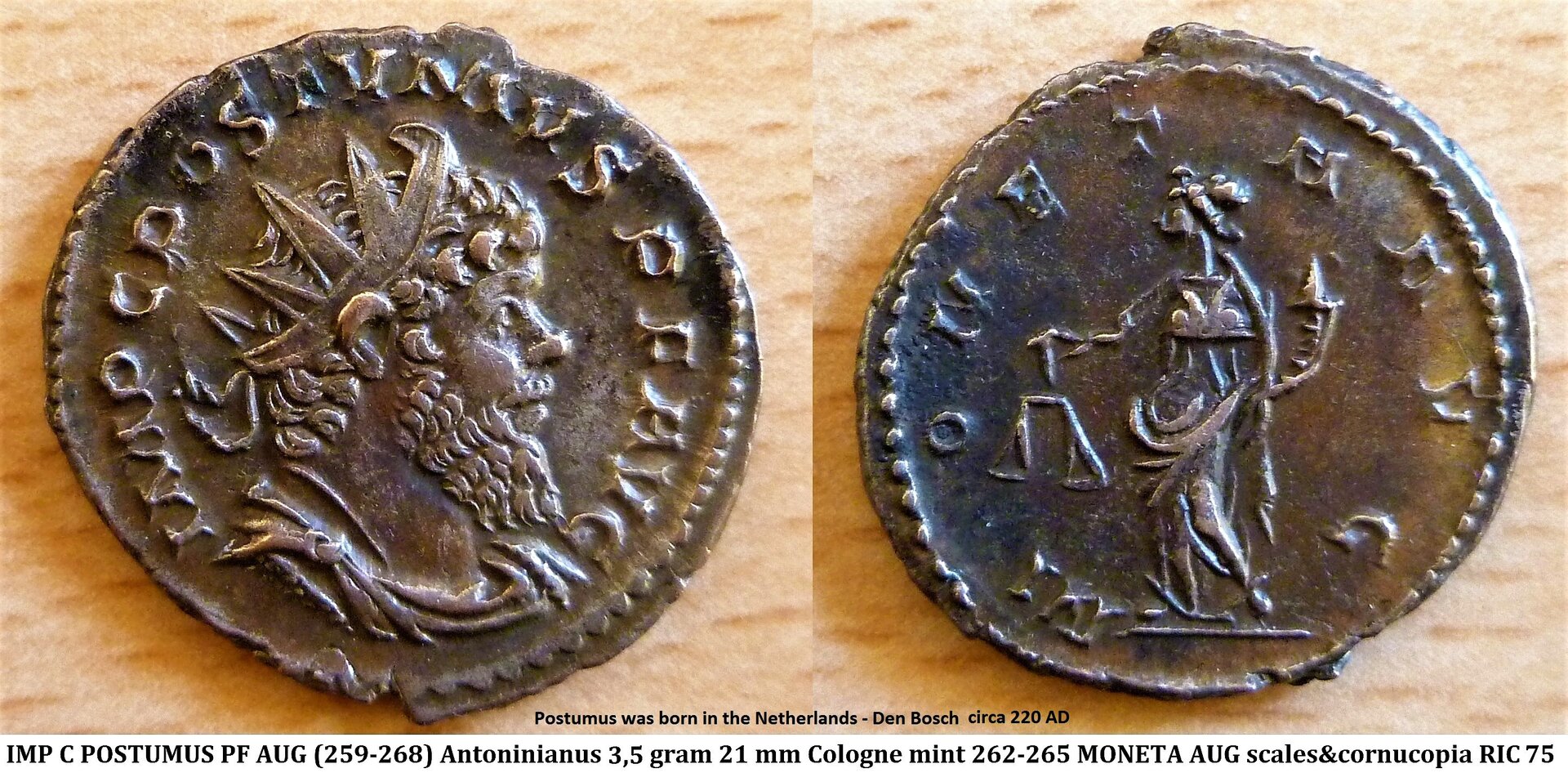 P1150297moneta (2).jpg