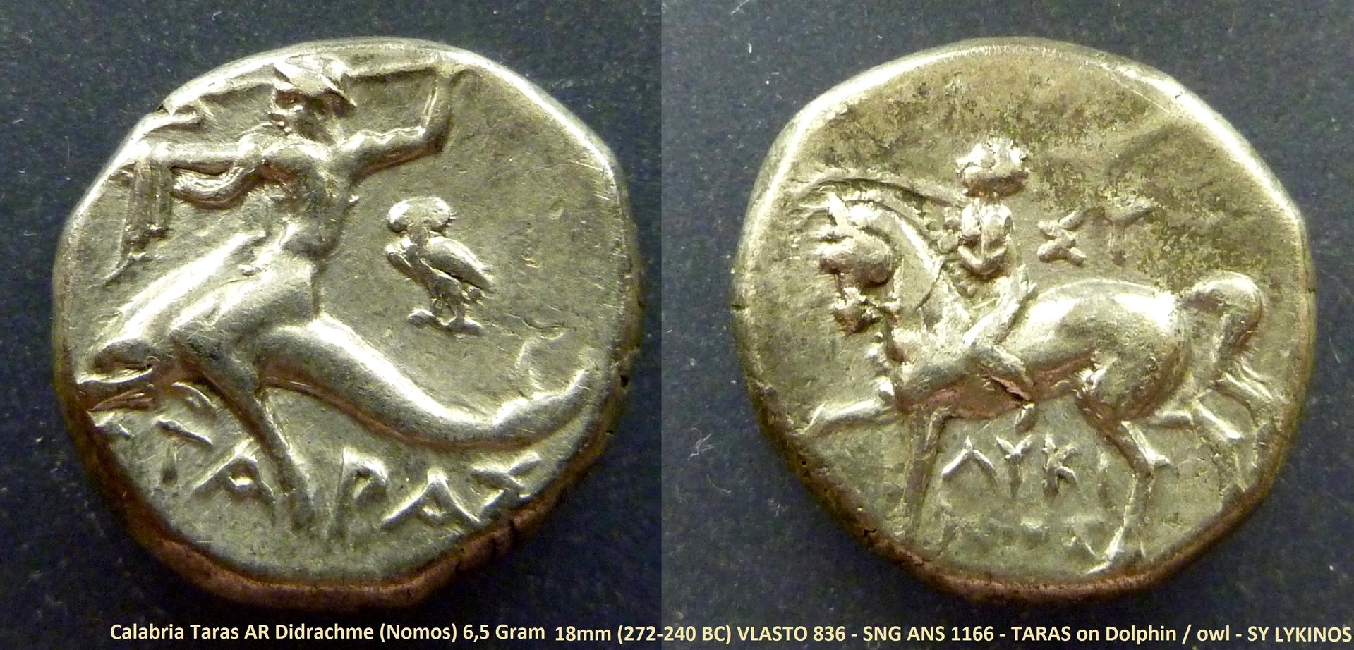 P1150344.JPG