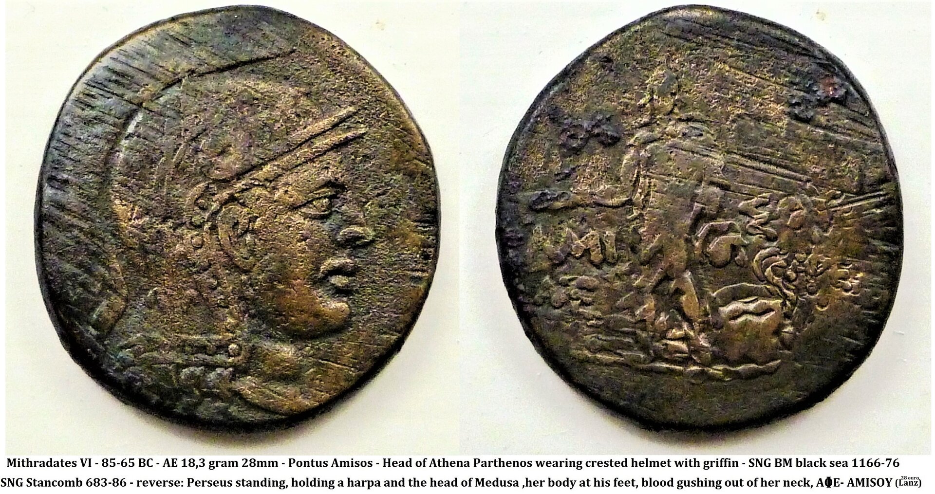 P1150426medusa3 (2).jpg