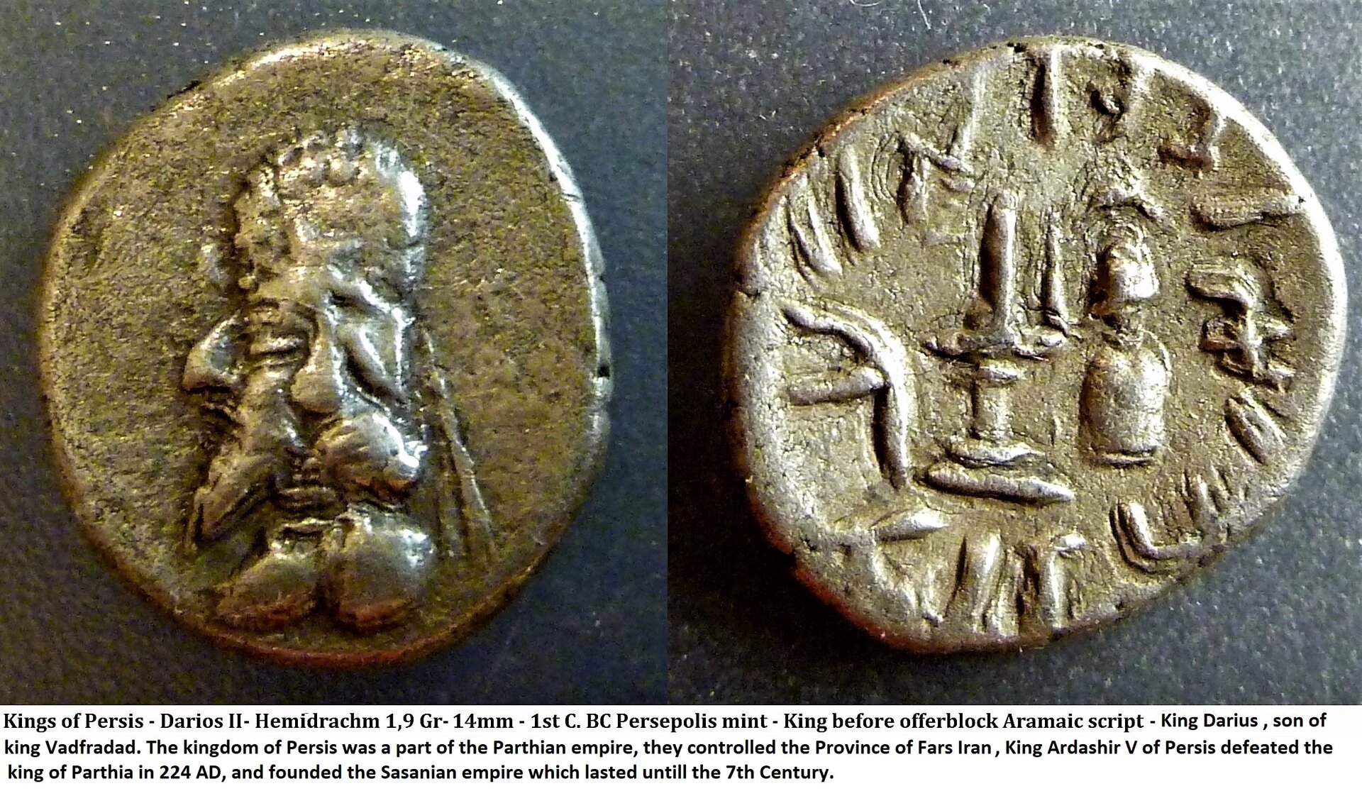 P11504644 persia.jpg