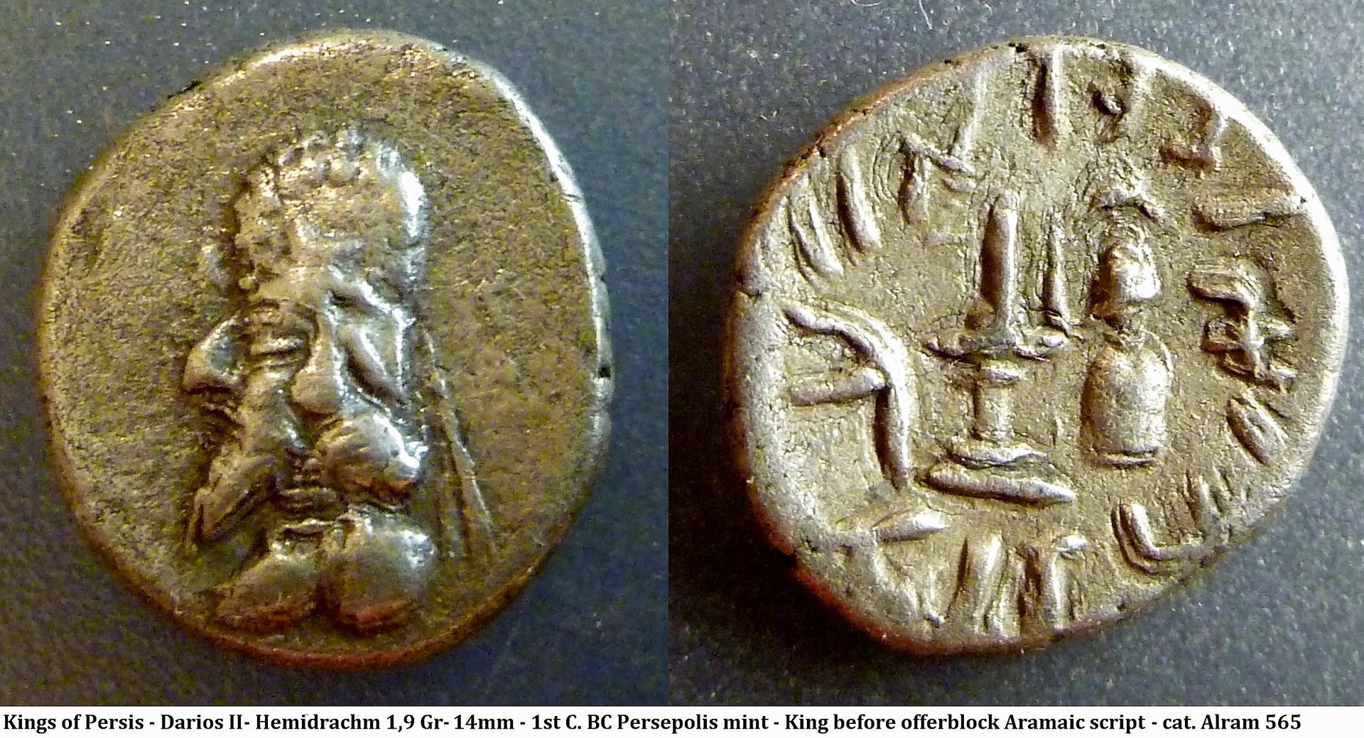 P11504644 persia.jpg