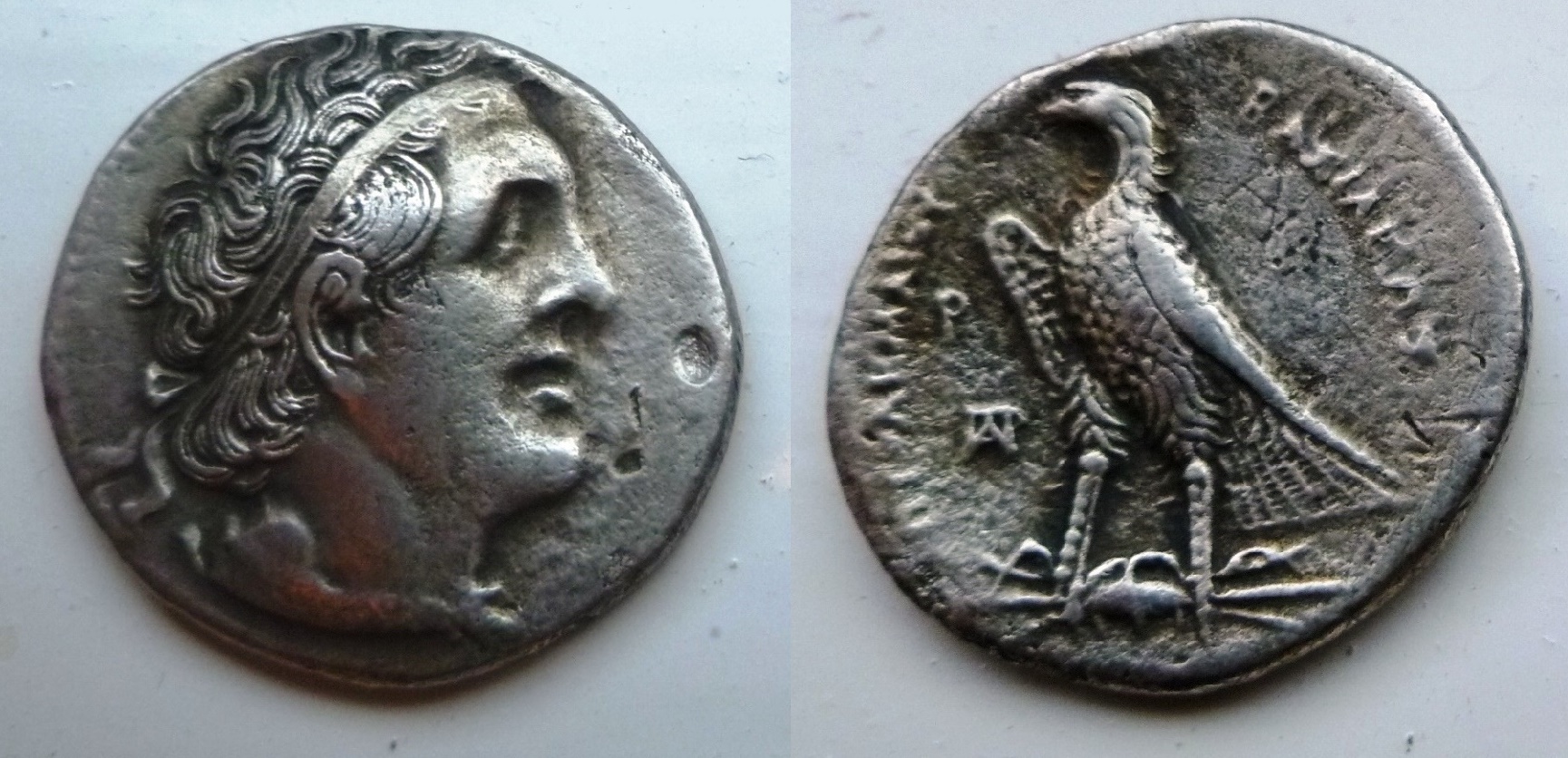 P1150562 Ptolemy I b.jpg