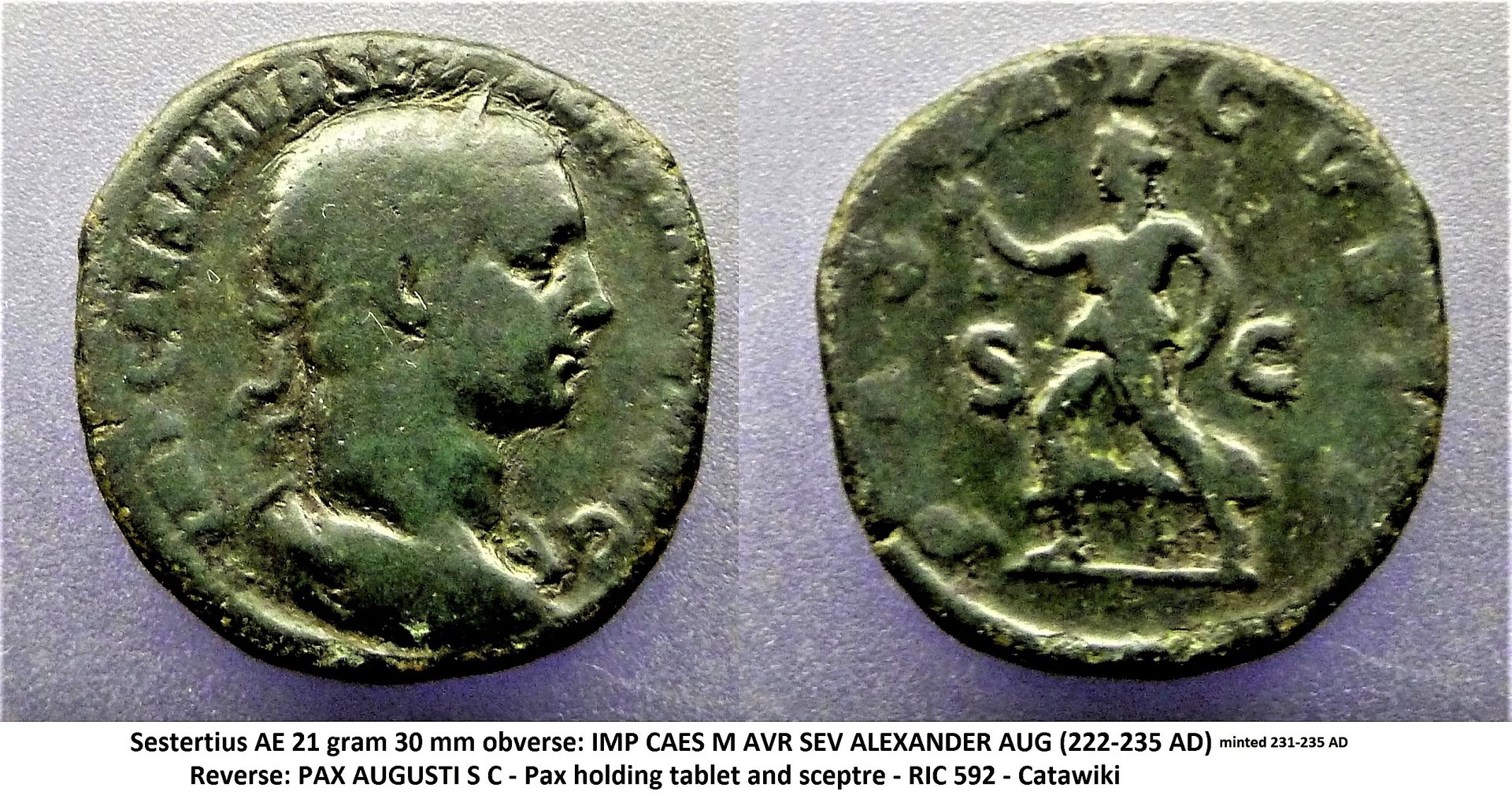 P1150861 (2).JPG