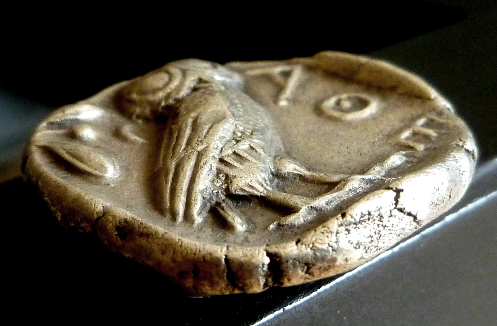 P1150886.JPG