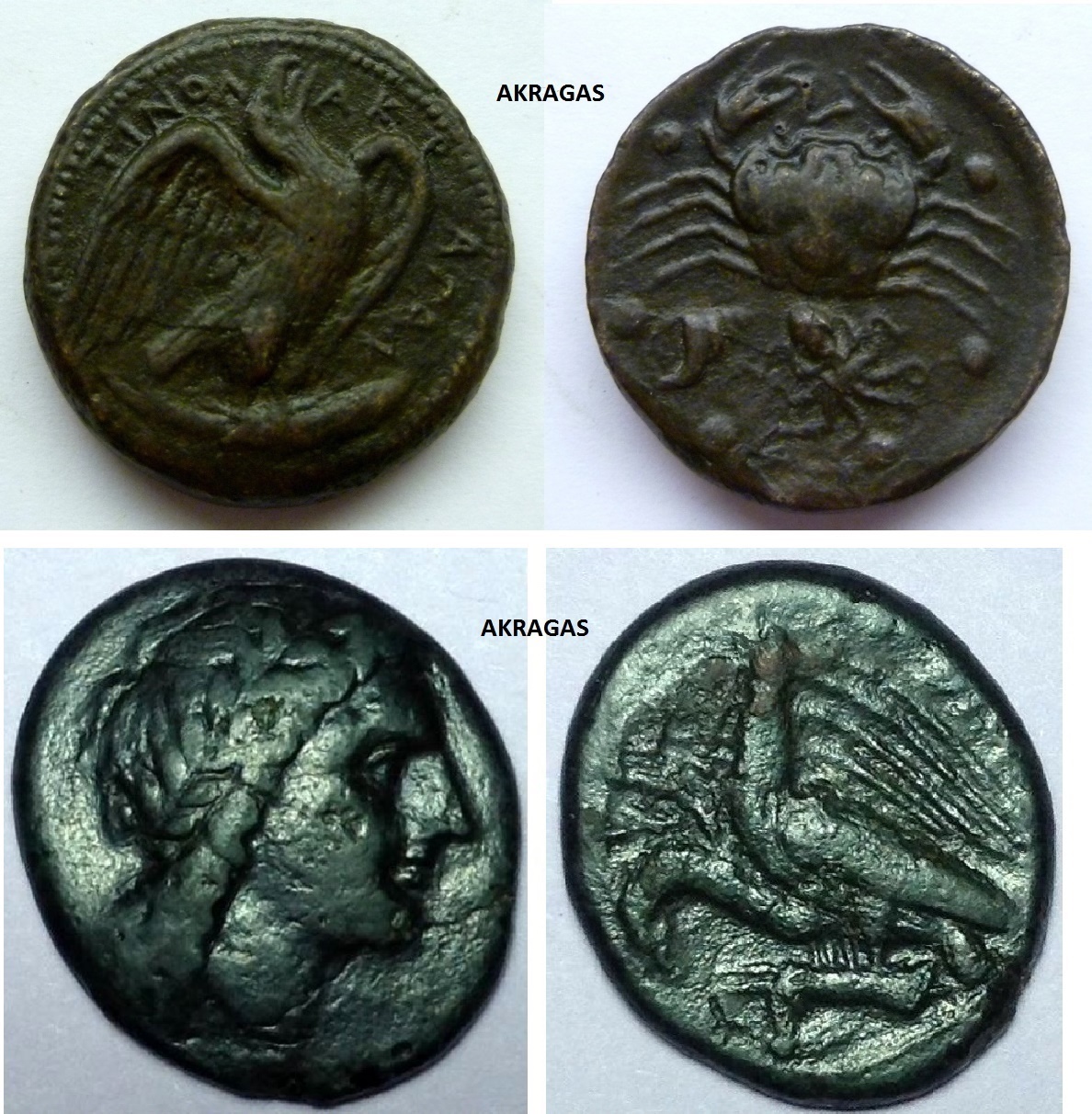 P1160017 Akragas 2x.jpg