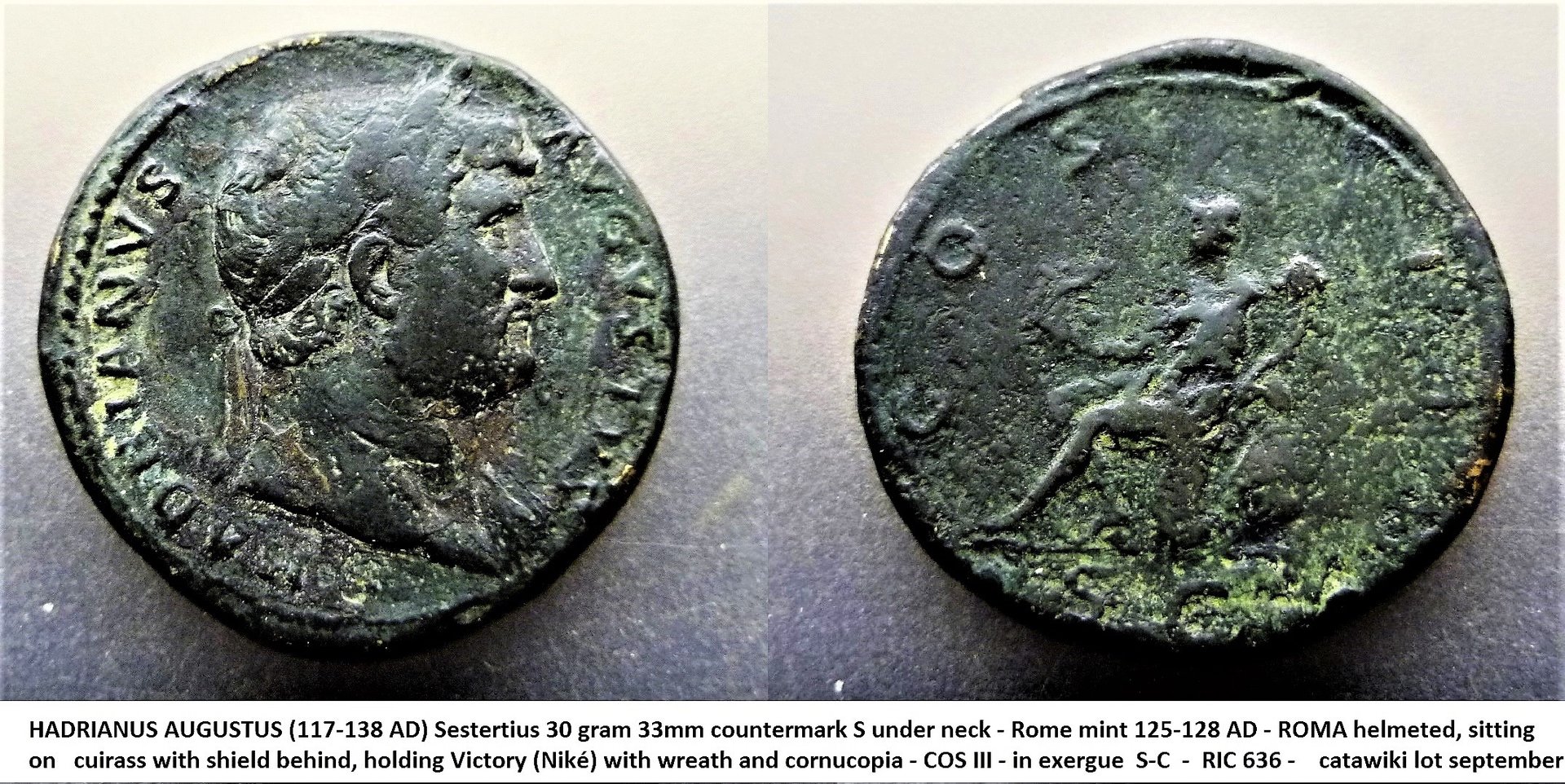 P1160214 marked S Roma (2).jpg