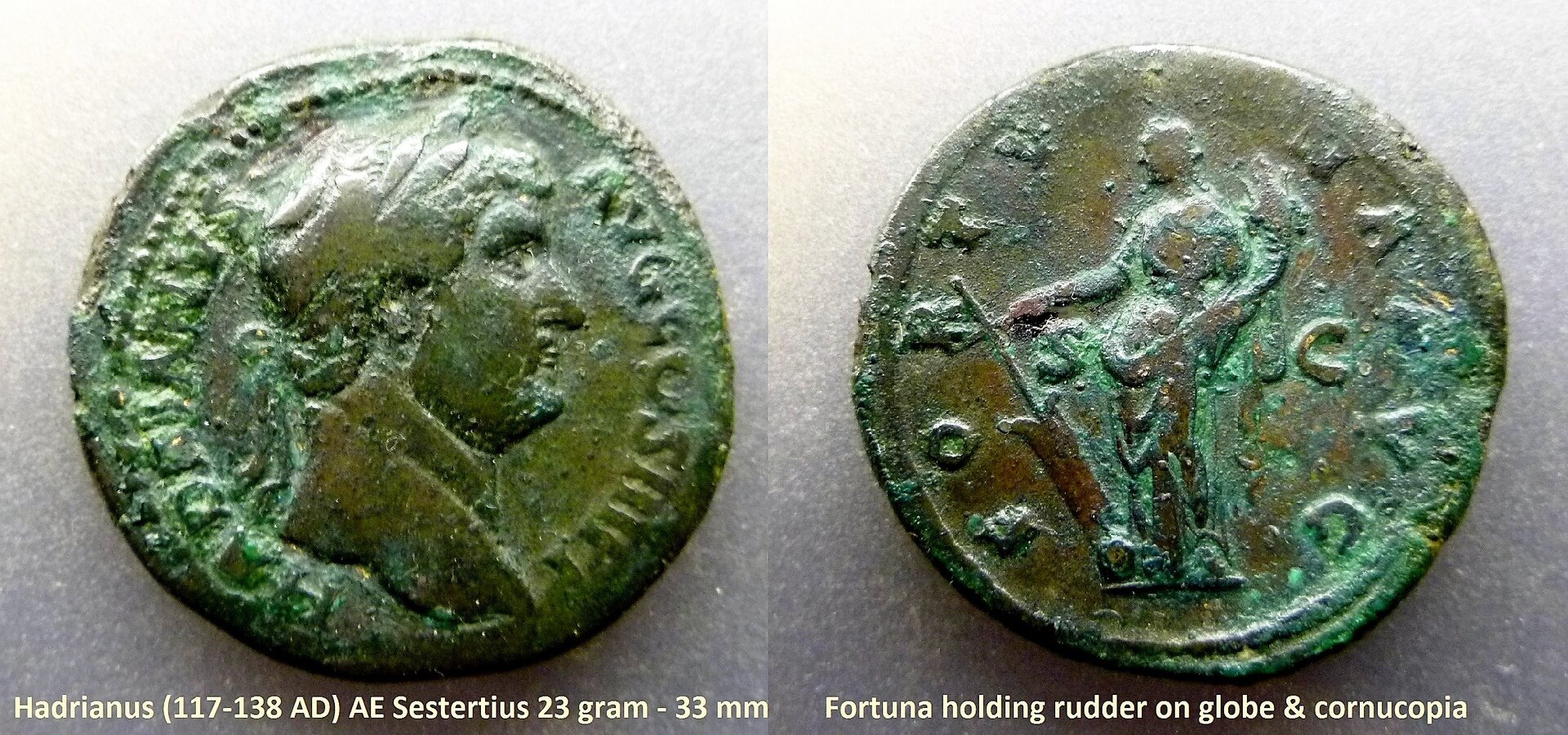 P1160216Fortuna.JPG