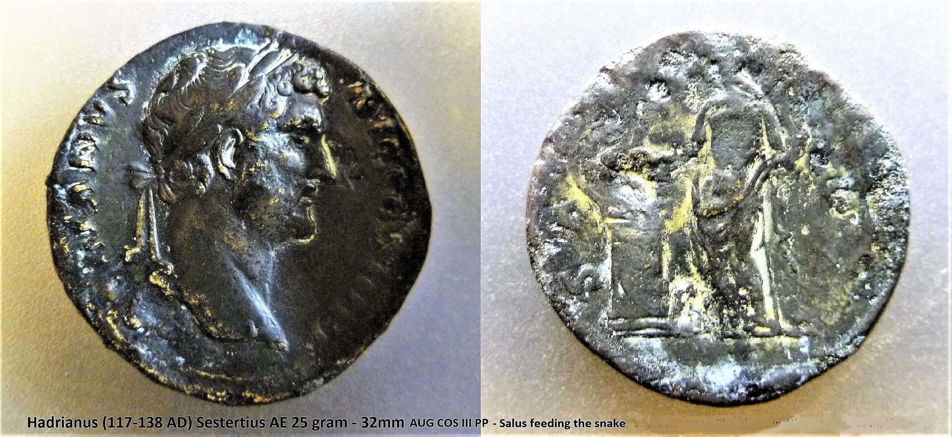 P1160247Salus2 (2).JPG