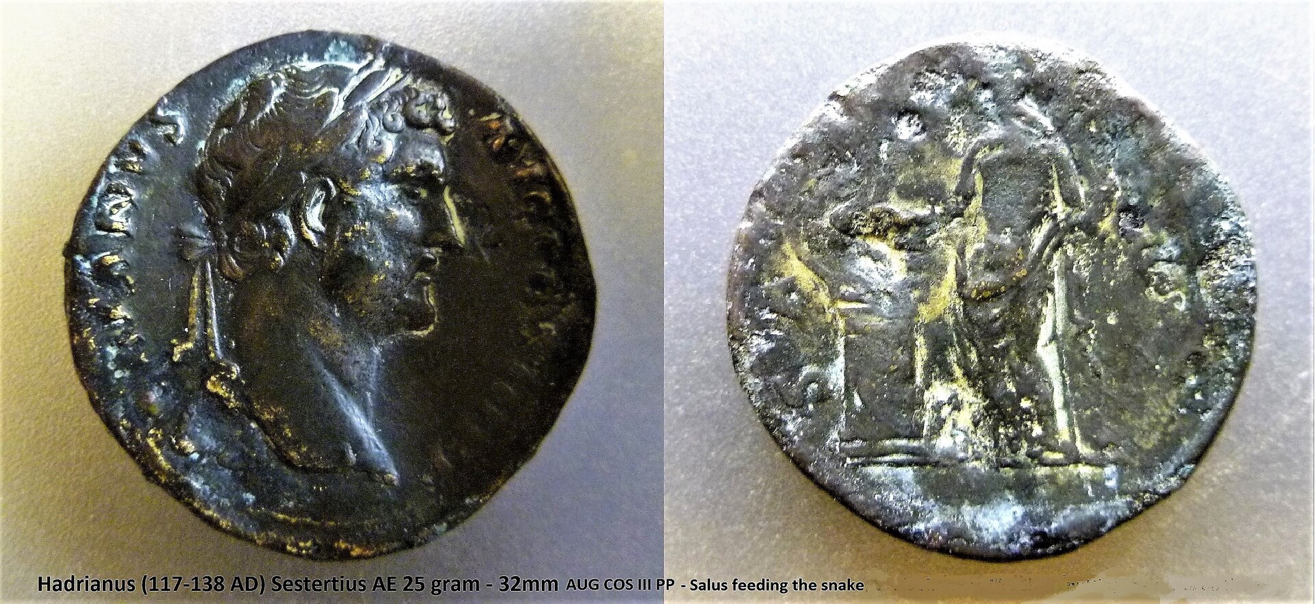 P1160247Salus2.JPG