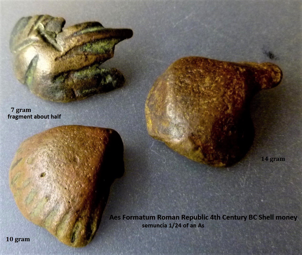 P1160321 (2).JPG