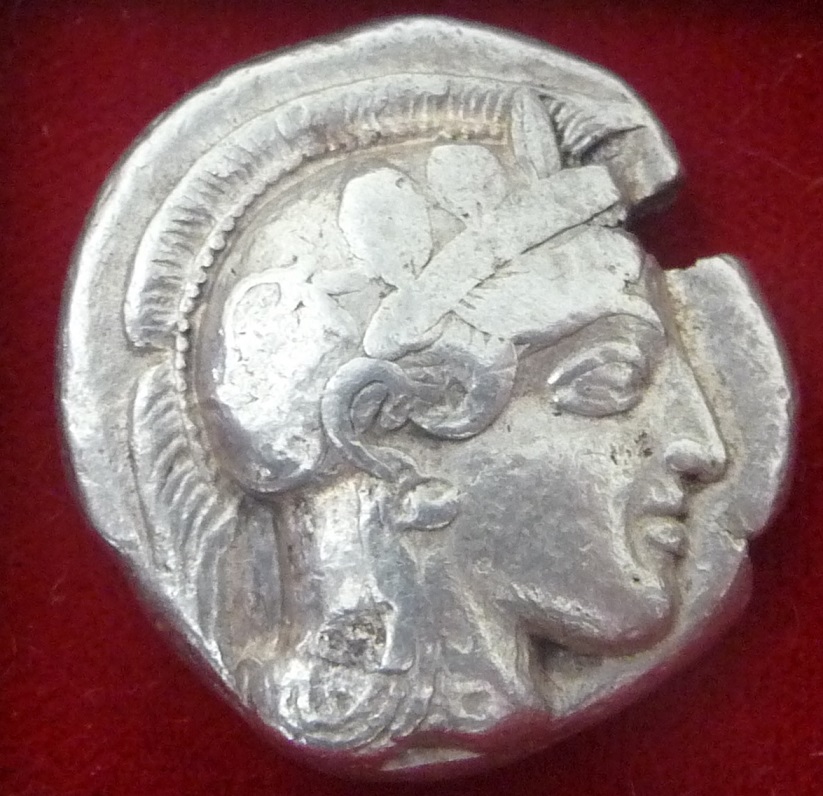 P1160443.JPG
