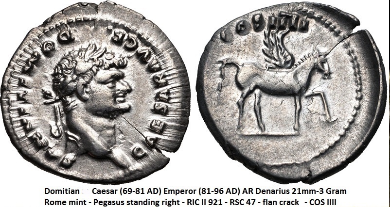 P1160728pegasus.jpg