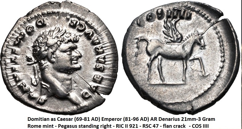 P1160728pegasus.jpg