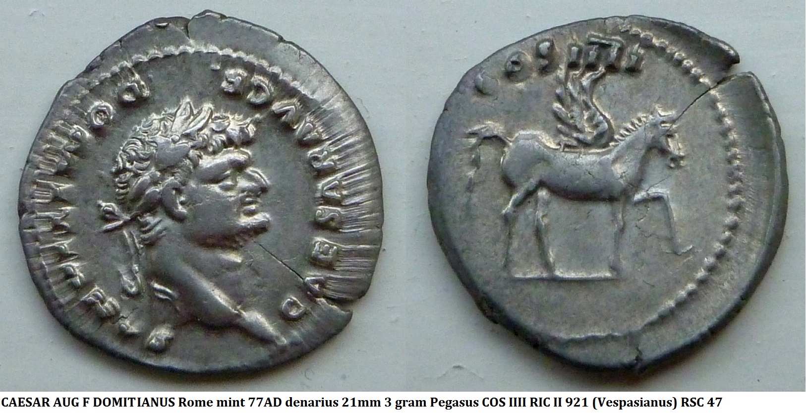 P1160728pegasus2.jpg