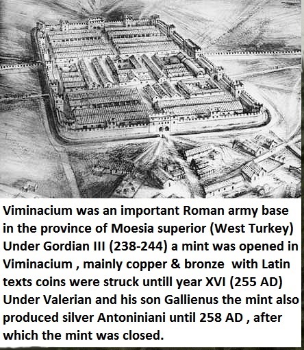 P1160950viminacium.jpg