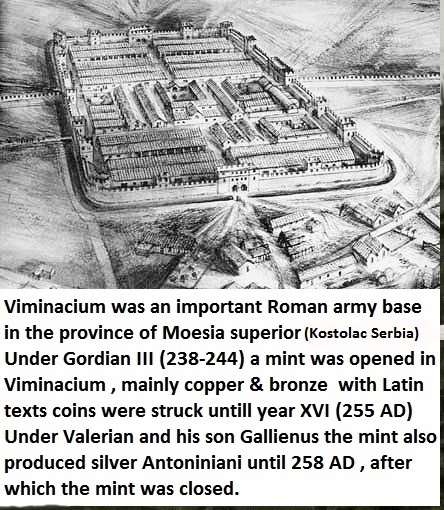 P1160950viminacium.jpg