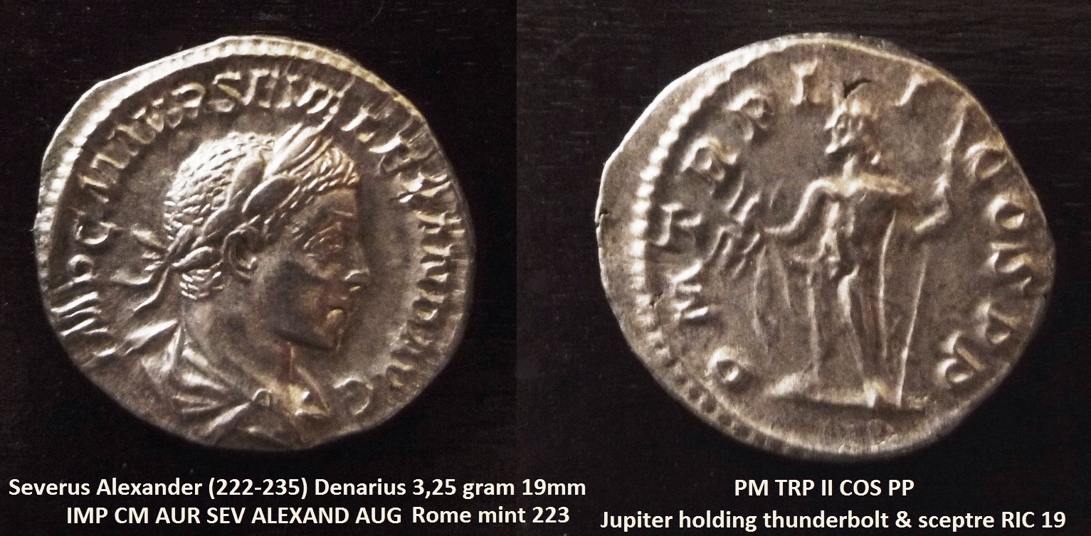 P1170943.JPG
