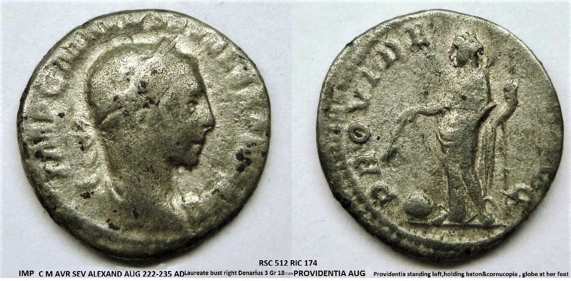 P1170943Providentia 2x (2).jpg