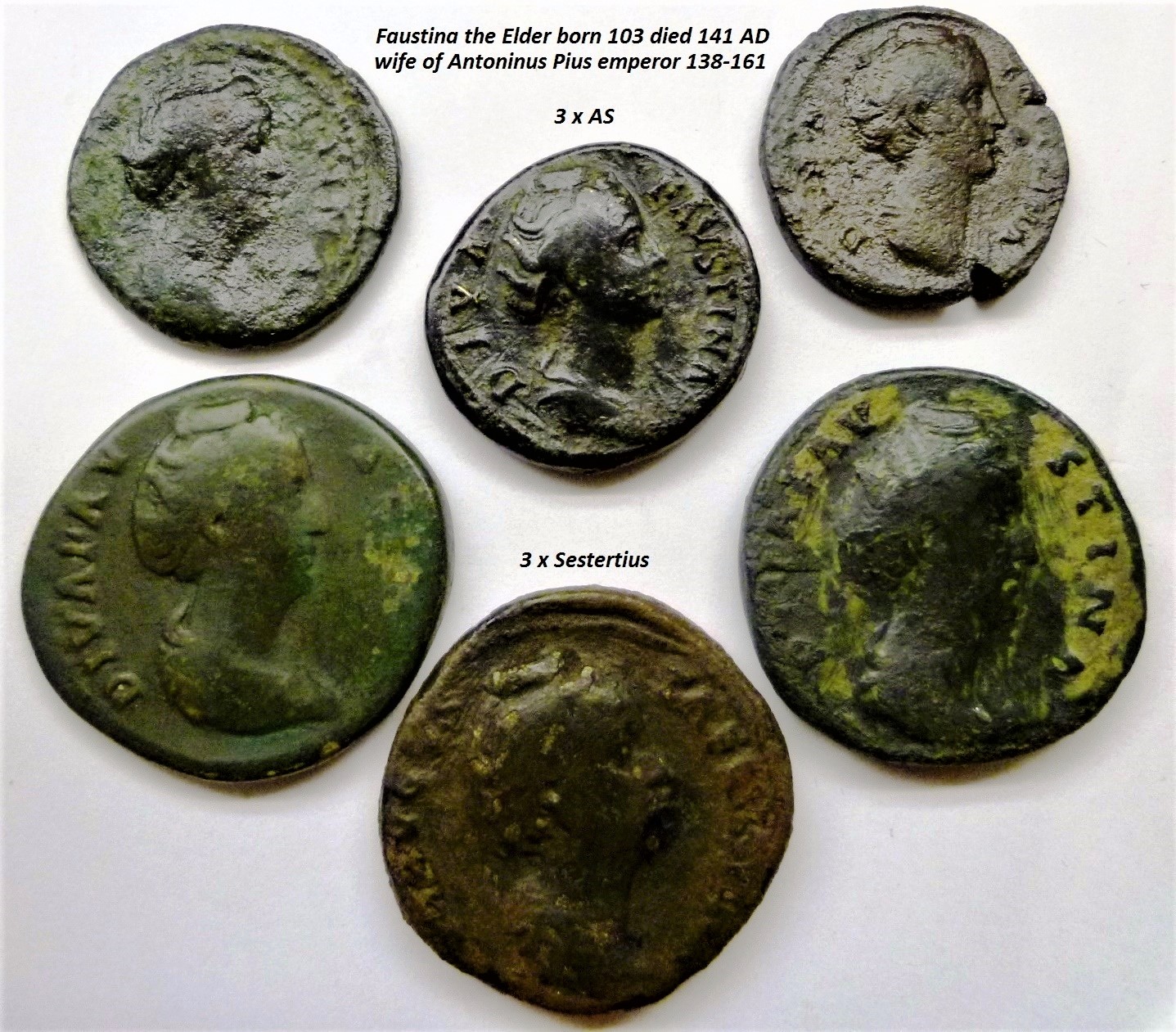 P1170960 (2).JPG
