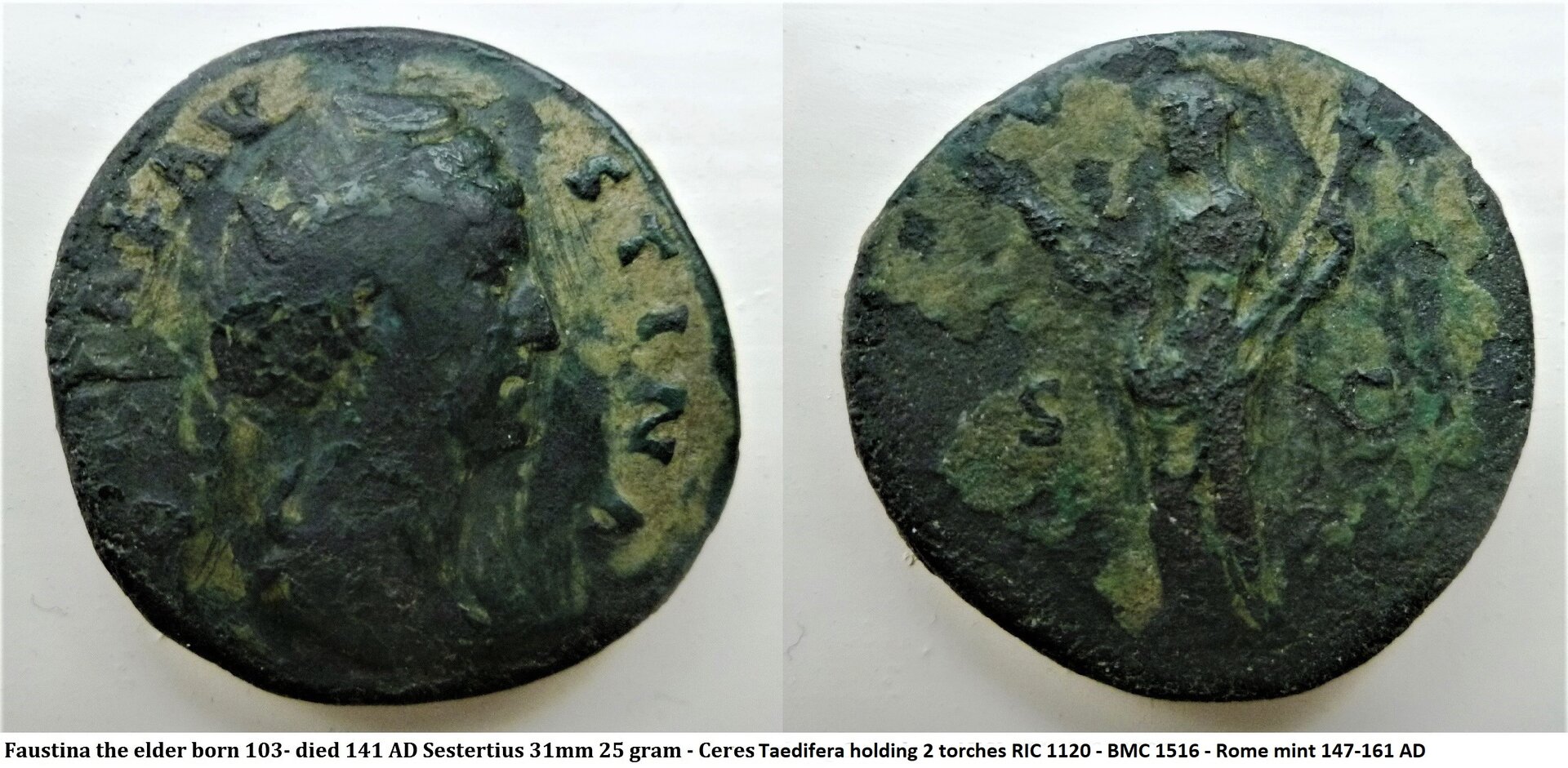 P1180315ceres taedifera.jpg