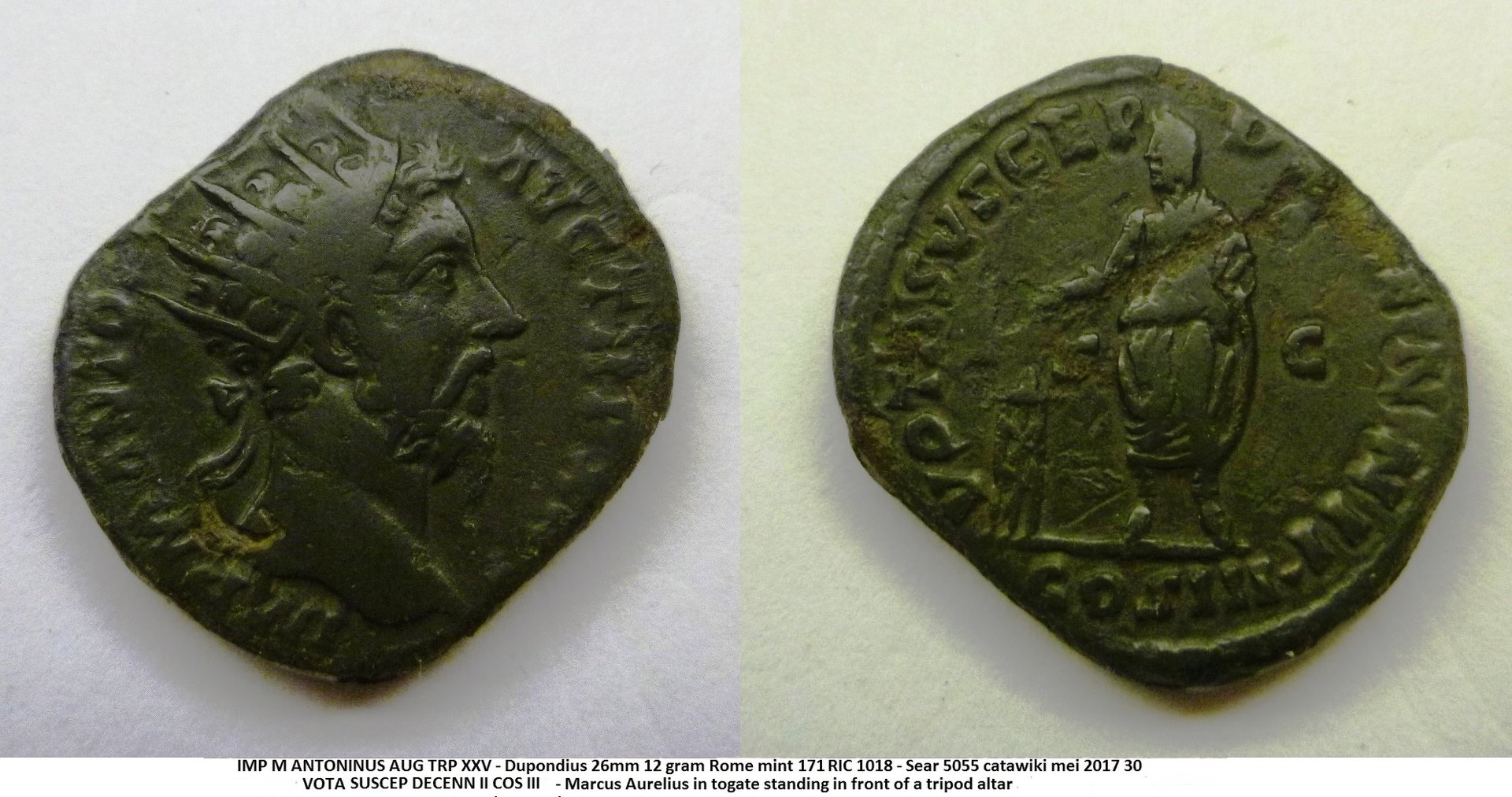 square / rectangular coins, e.g. Gordian III | Coin Talk