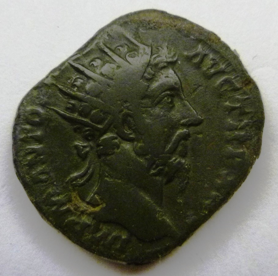 P1180606head.jpg