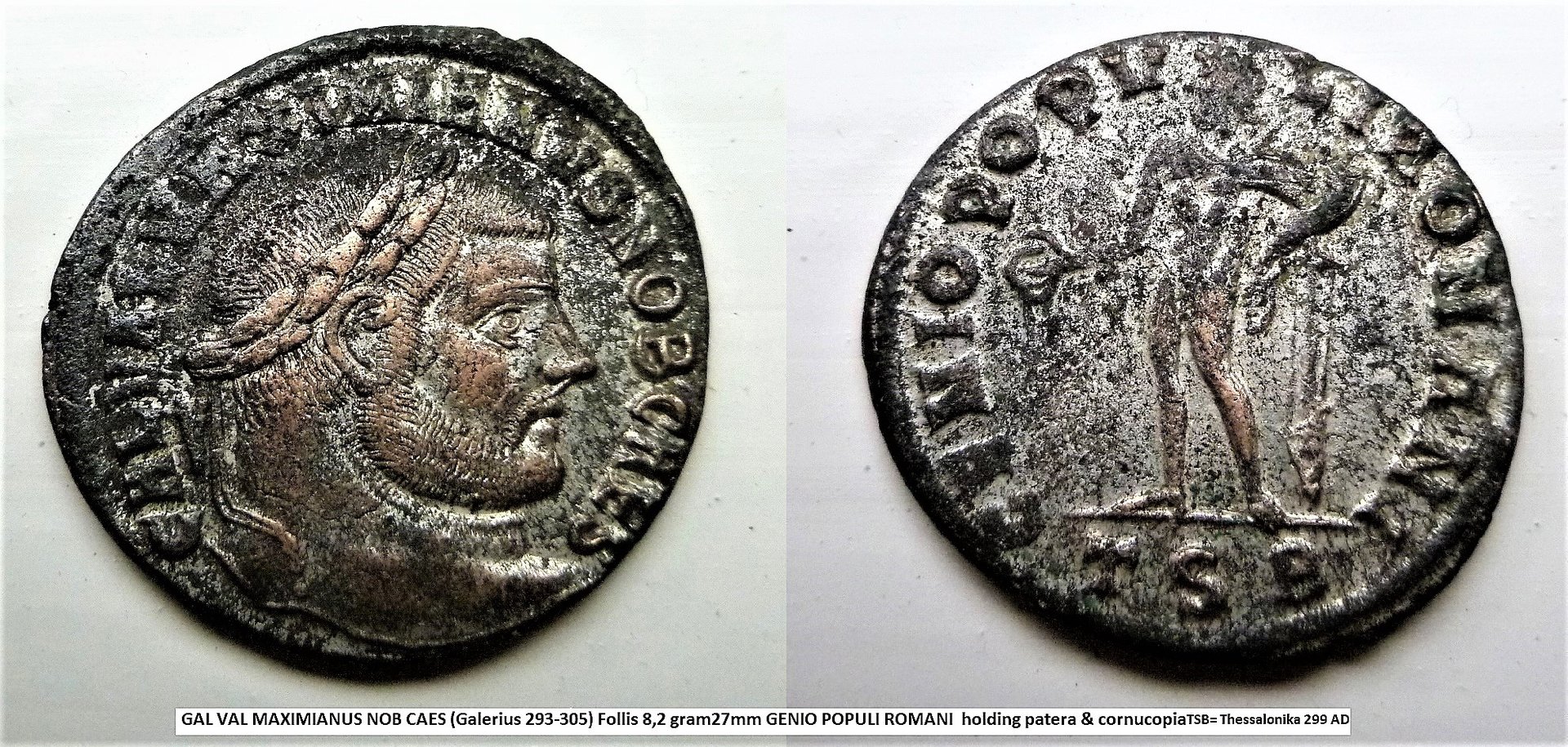 P1180760 galerius silvered 2 (2).jpg