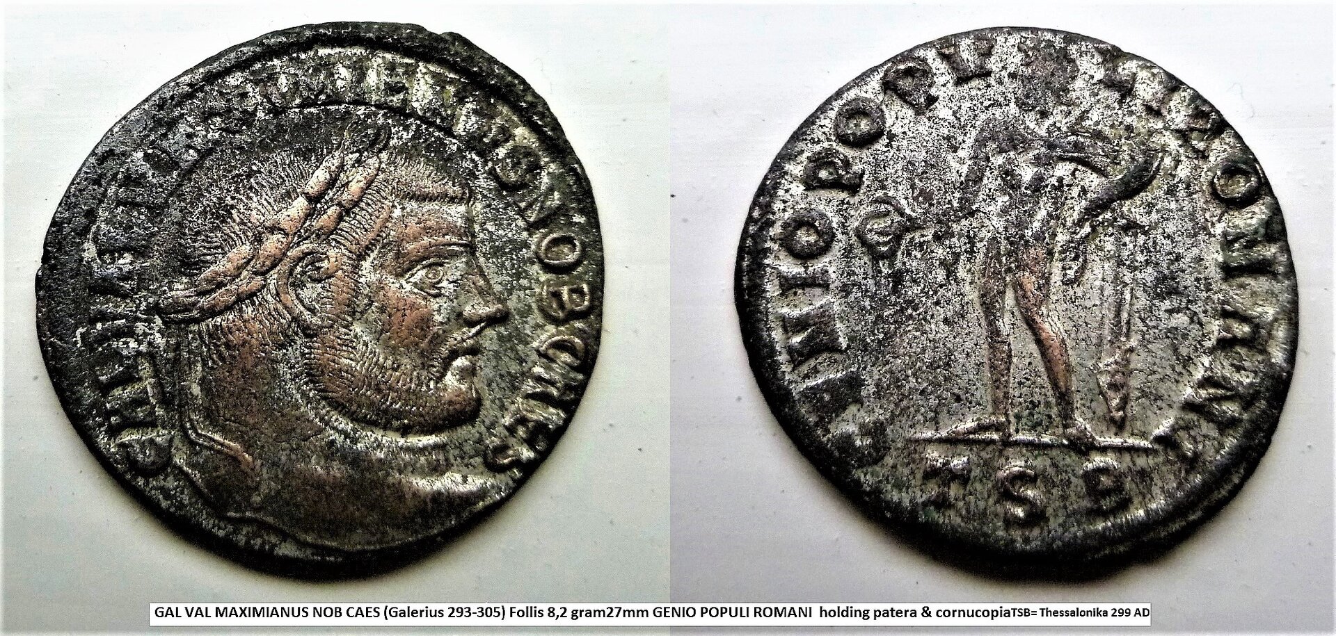 P1180760 galerius silvered 2 (3).jpg