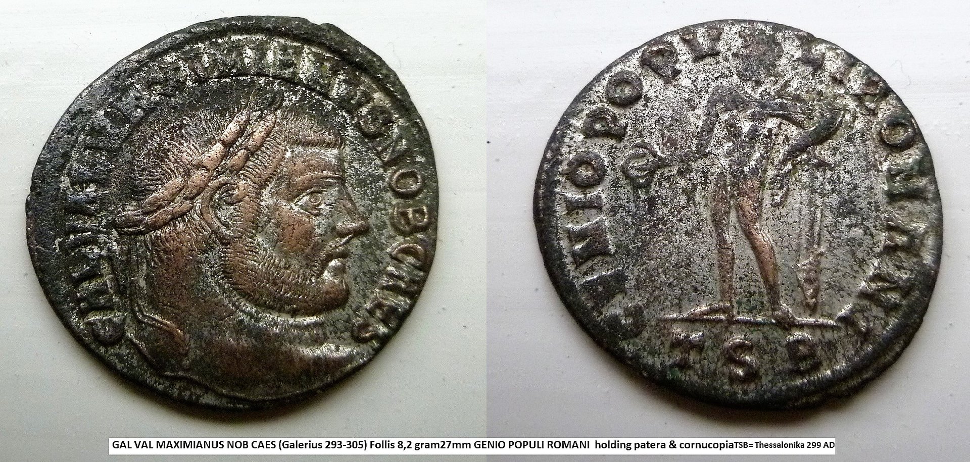 P1180760 galerius silvered 2.jpg