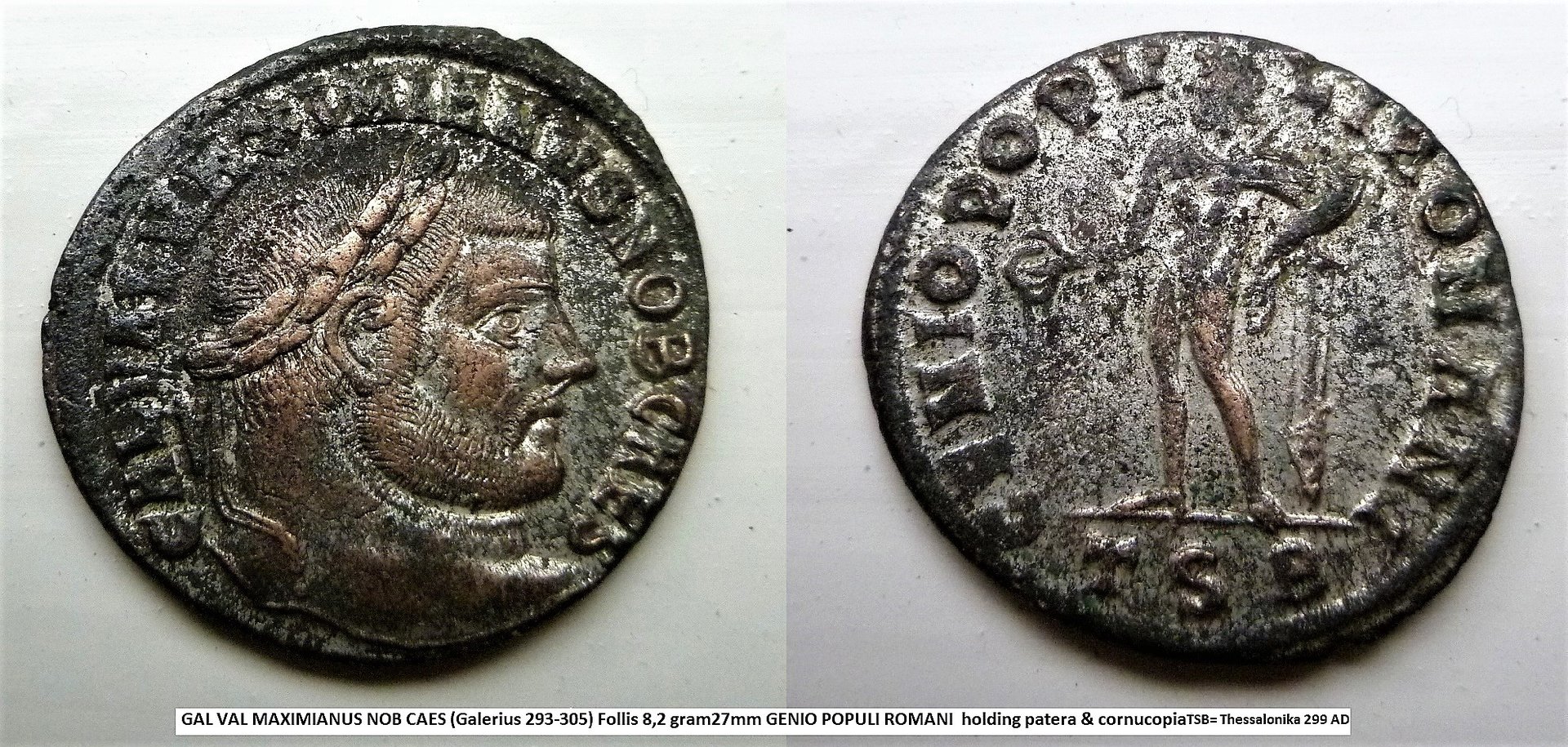 P1180760 galerius silvered 2.jpg
