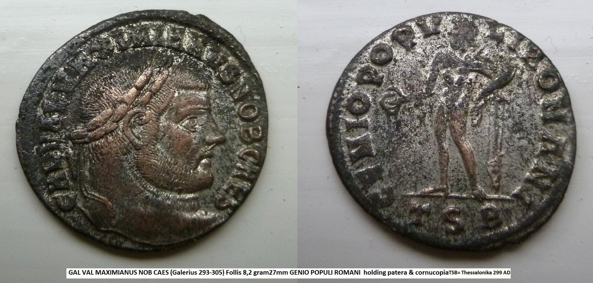 P1180760 galerius silvered 2.jpg
