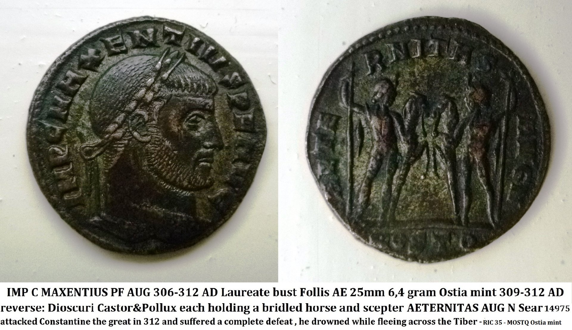 P1180760 maxentius.jpg
