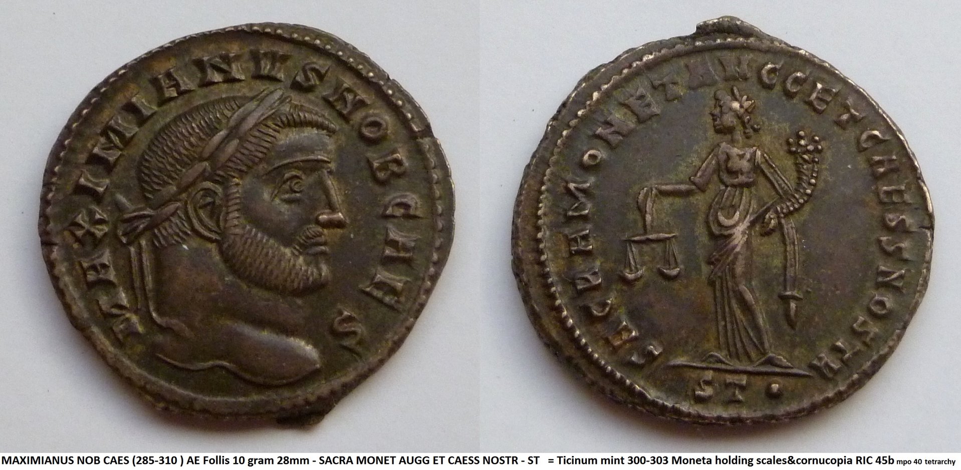 P1180760Maximianus.JPG