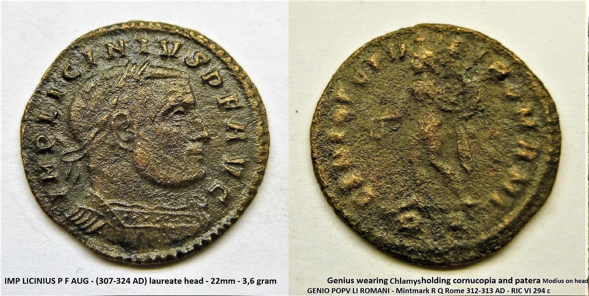 P1180763 Licinius I.jpg