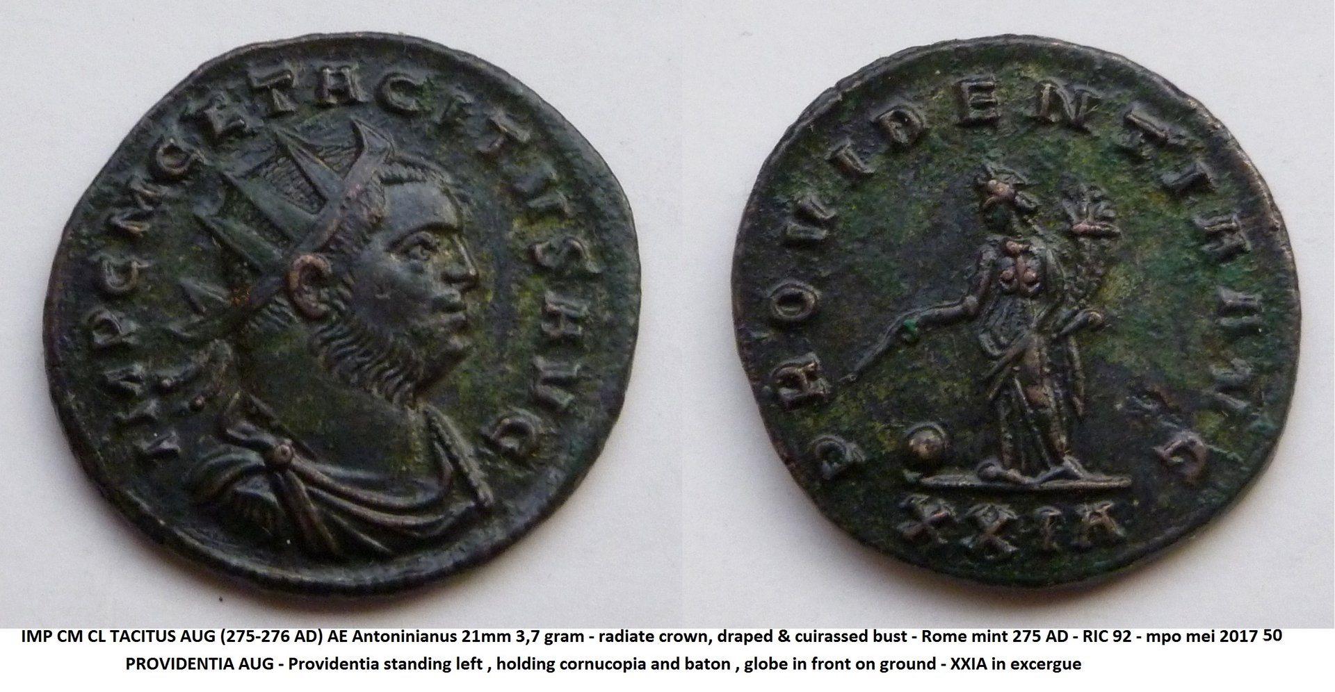 P1180773Tacitus.JPG