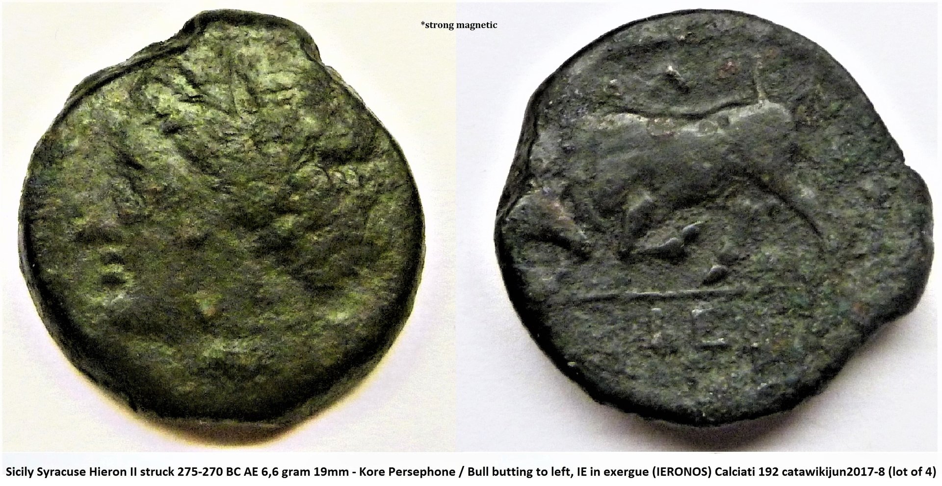 P1180973 (2).JPG