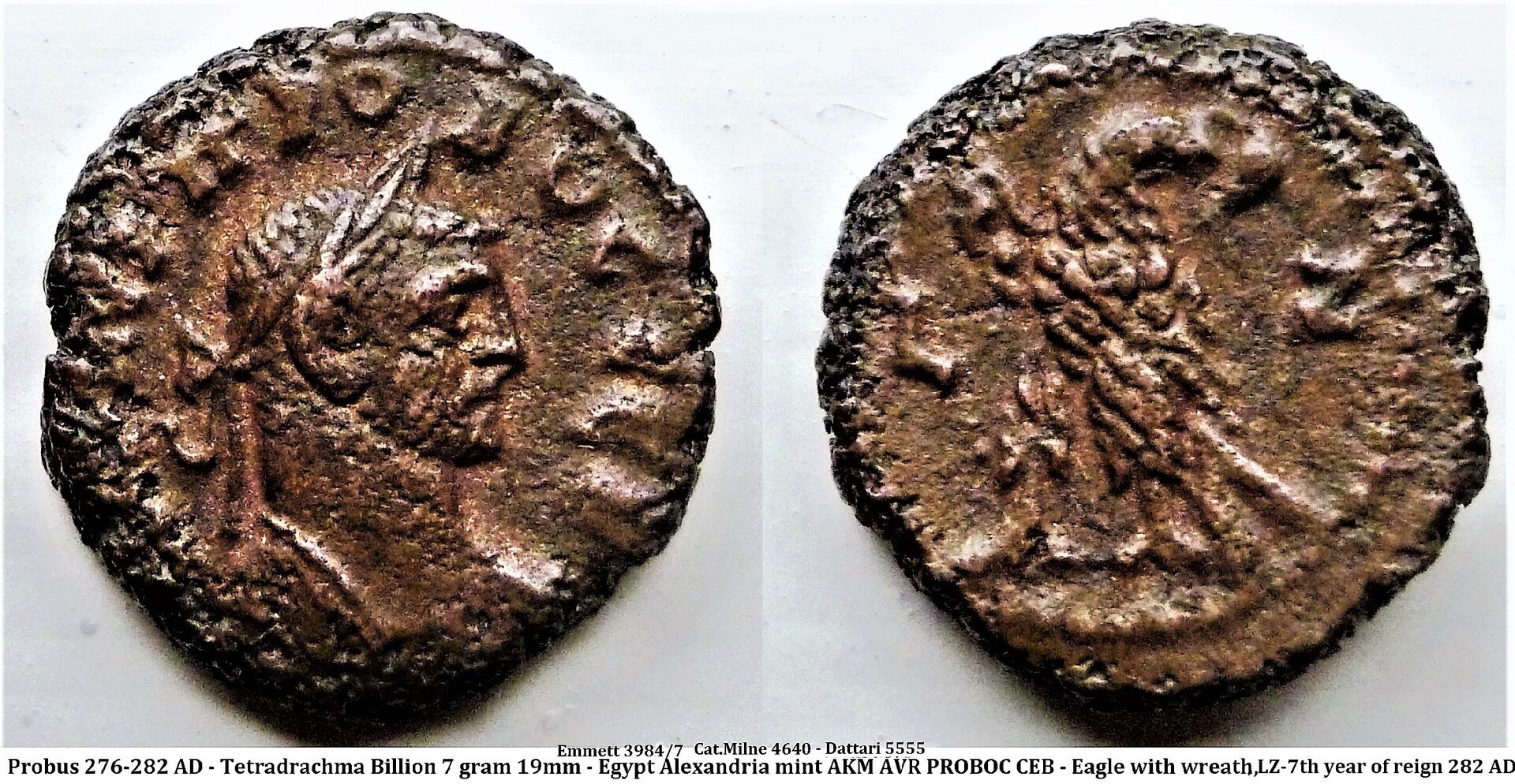P1200812 (2).JPG