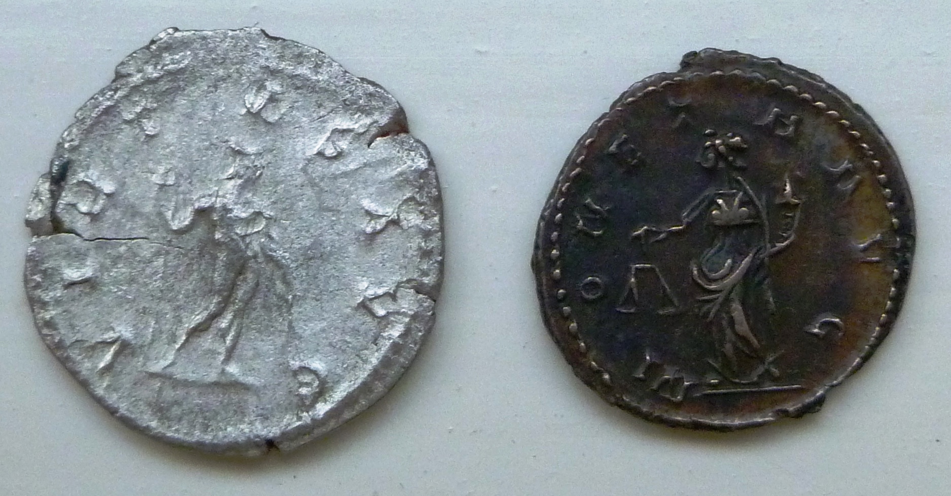 P1210943.JPG