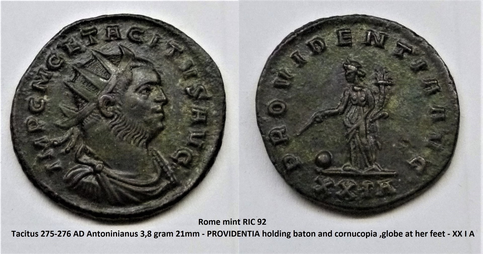 P1220132.JPG